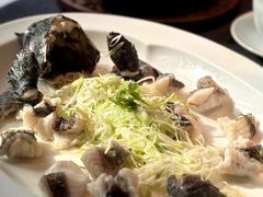 -子福慧(虹桥店)