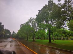 -上海海湾国家森林公园