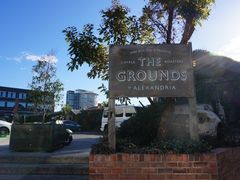 -The Grounds of Alexandria