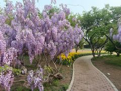 -石家庄市植物园