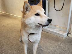 -三目仓咖啡(贤南路店)