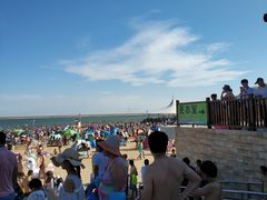 -碧海金沙