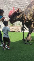 -恐龙探索乐园(磁器口店)