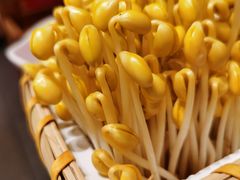 -巴奴毛肚火锅(商城路店)