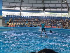 -尼莫海豚馆