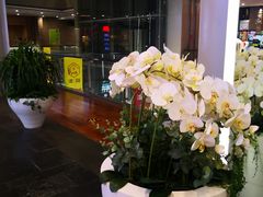 -远洋未来广场(育慧北路店)