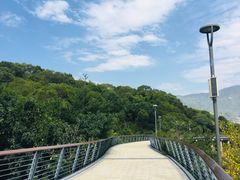 -牛岗山公园