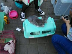 -鲜果时光(欧亚卖场店)