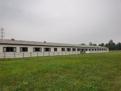 -北京群众马术培训基地