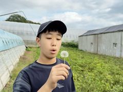 -大连北马山庄