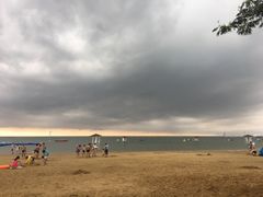 -碧海金沙