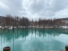 -青池