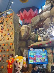 -卡通尼·Safari非洲探索乐园·生日会(金桥国际商业广场店)