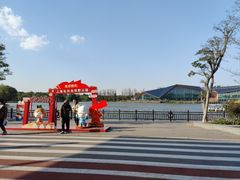 -上海长兴岛郊野公园