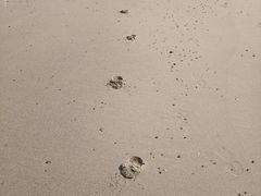 -那香海钻石沙滩浴场