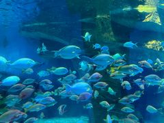 -泉城欧乐堡海洋极地世界