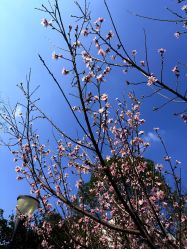 -鸿涛阁宴会中心