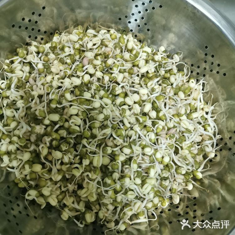 来个豆芽吧