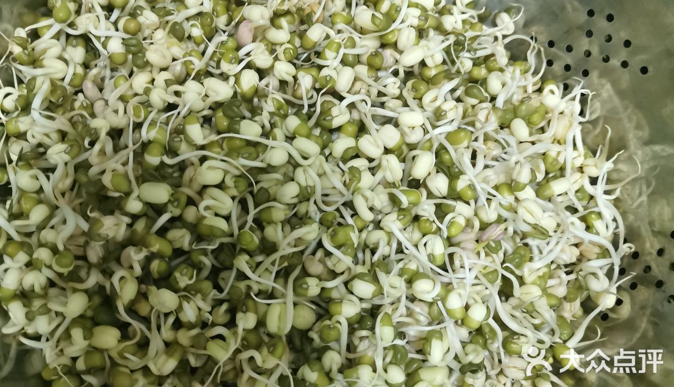 来个豆芽吧