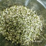 来个豆芽吧