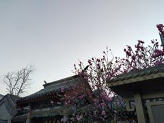 -北京湖广会馆