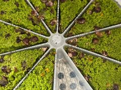 -蟹天蟹地农家菜·阳澄湖大闸蟹(浅水湾店)