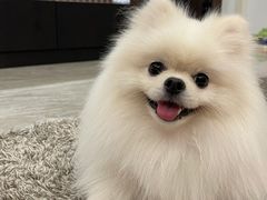 -美迦爱-牙专科·兔科·骨科诊疗中心(北苑店)