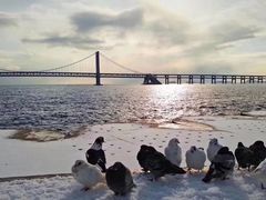 -海创大连科技交流中心(海事大学地铁站店)