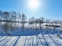 -塞罕坝国家级自然保护区