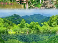 -莫干山风景区
