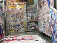-秋叶原电器街