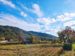 -塔川景区