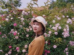 -UNI UNI(环亚凯瑟琳店)