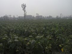 -中国天府农业博览园