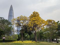 -深圳人才公园