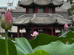 -莲池书院博物馆