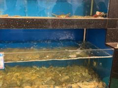 -华盛丰温州大排档(东三环南路店)