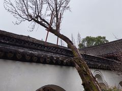 -太平天国侍王府