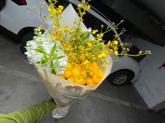 -双季花艺园艺市场(浦东店)