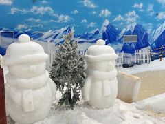 -世界之窗阿尔卑斯冰雪世界