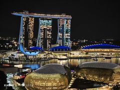 -新加坡瑞士史丹福酒店