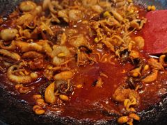 红辣椒八爪鱼-红辣椒八爪鱼特色韩国料理专门店(远景路旗舰店)