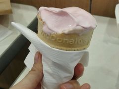 -麦当劳(盐城世纪大道得来速店)