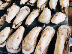 -南沙十九涌渔人码头-南门