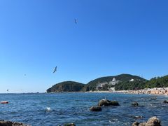 -棒棰岛宾馆景区
