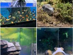 -顺德南宏海立方海洋公园