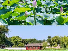 -承德避暑山庄景区