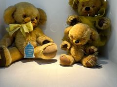 -成都泰迪熊博物馆
