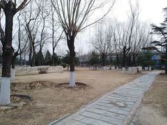 -石榴庄公园