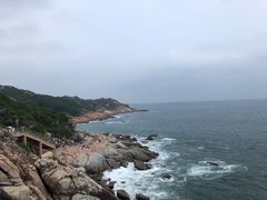 -广东惠东海龟国家级自然保护区
